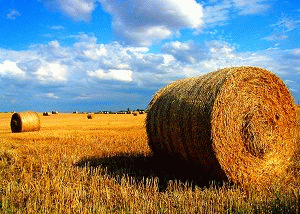 Western Manitoba