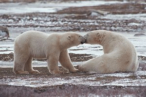 Northern Manitoba